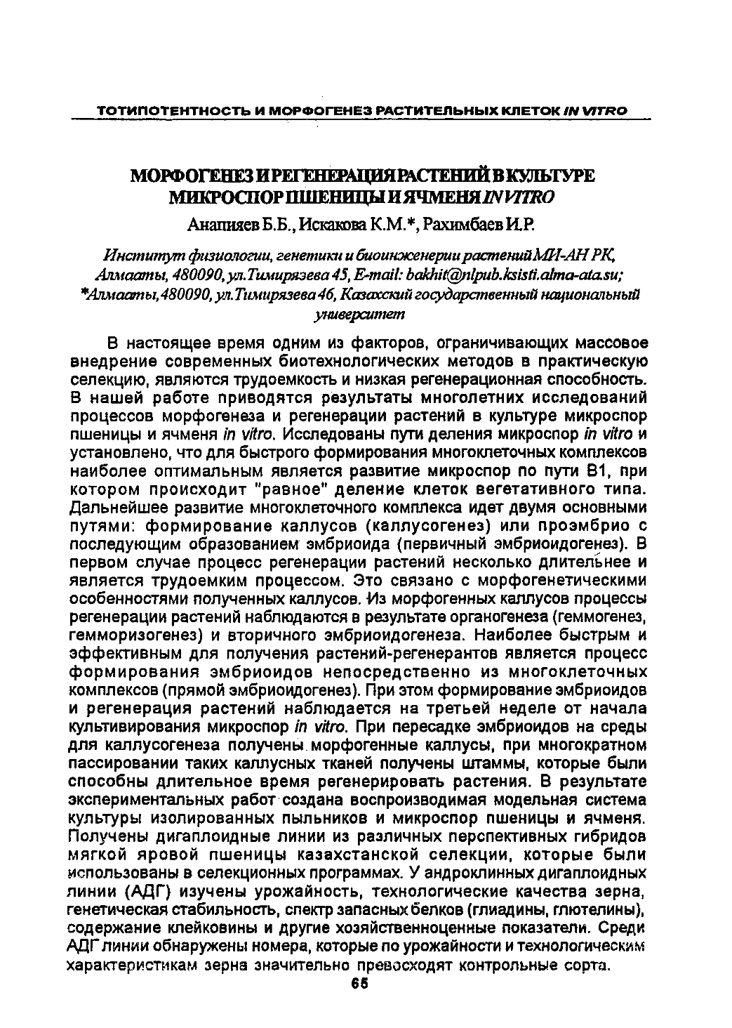 Page Background