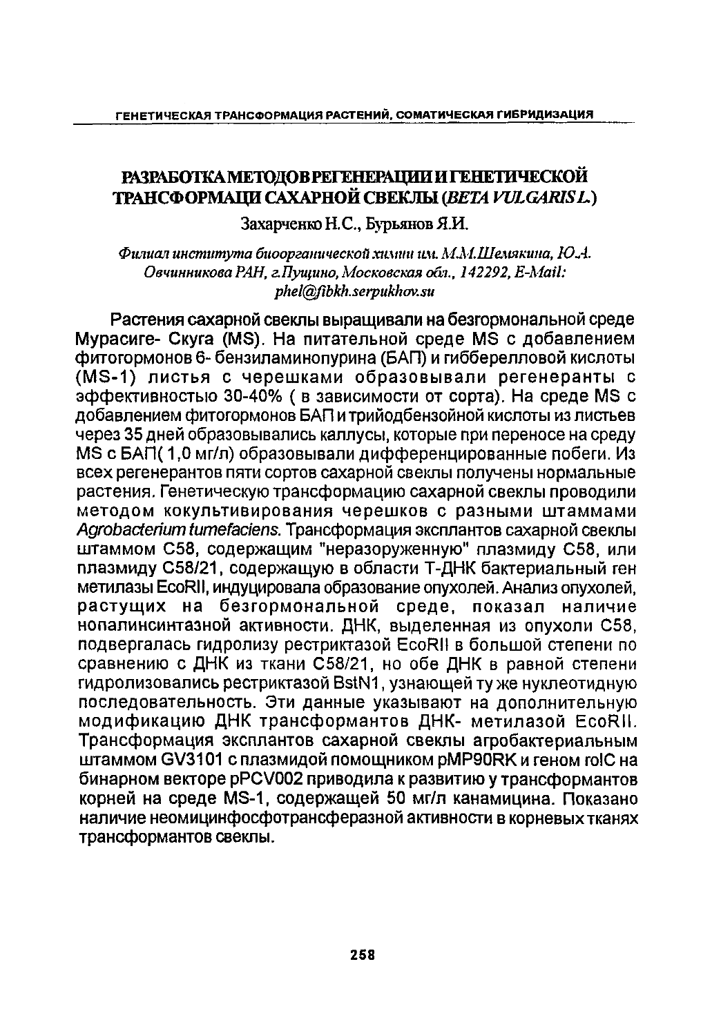 Page Background