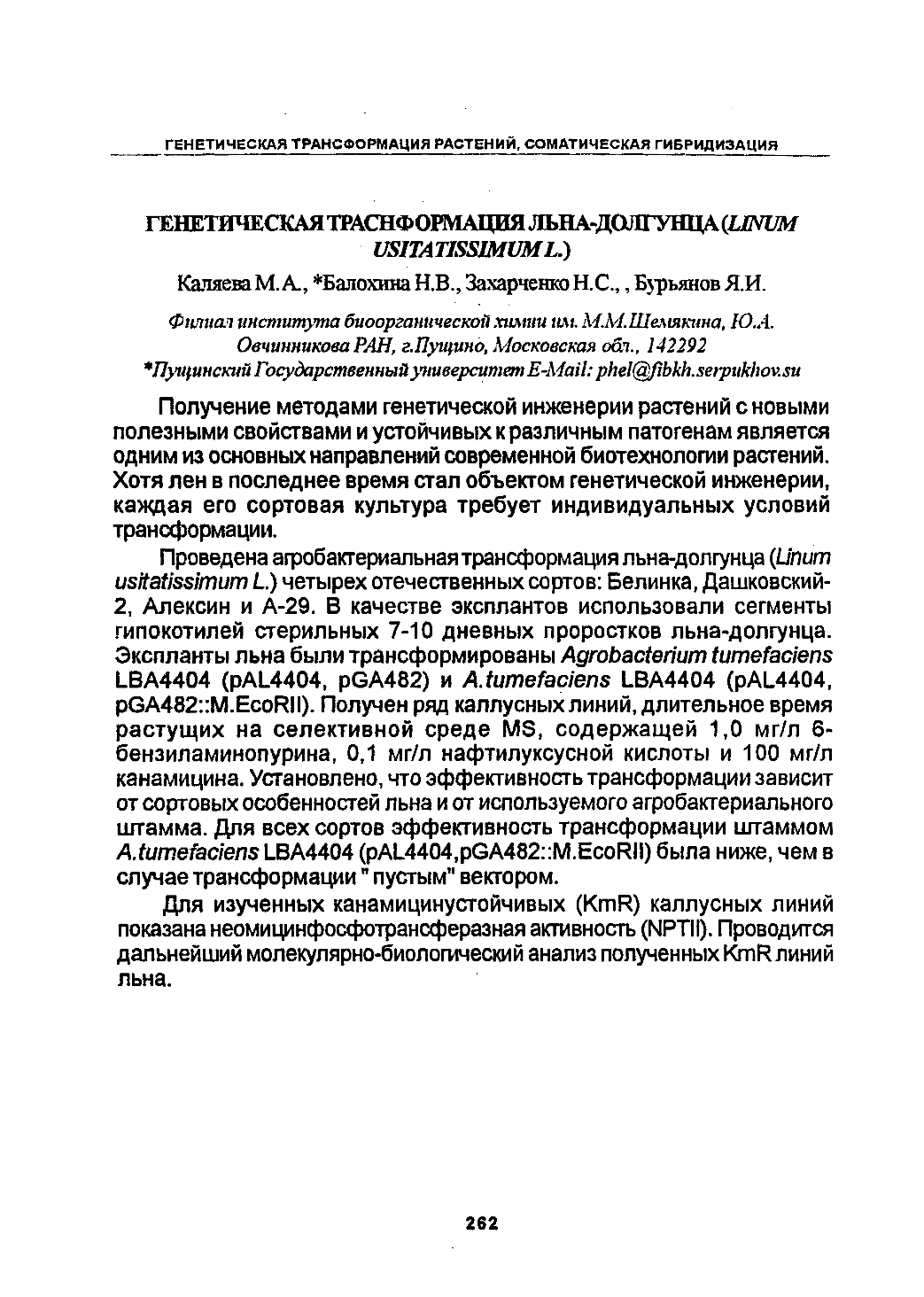Page Background