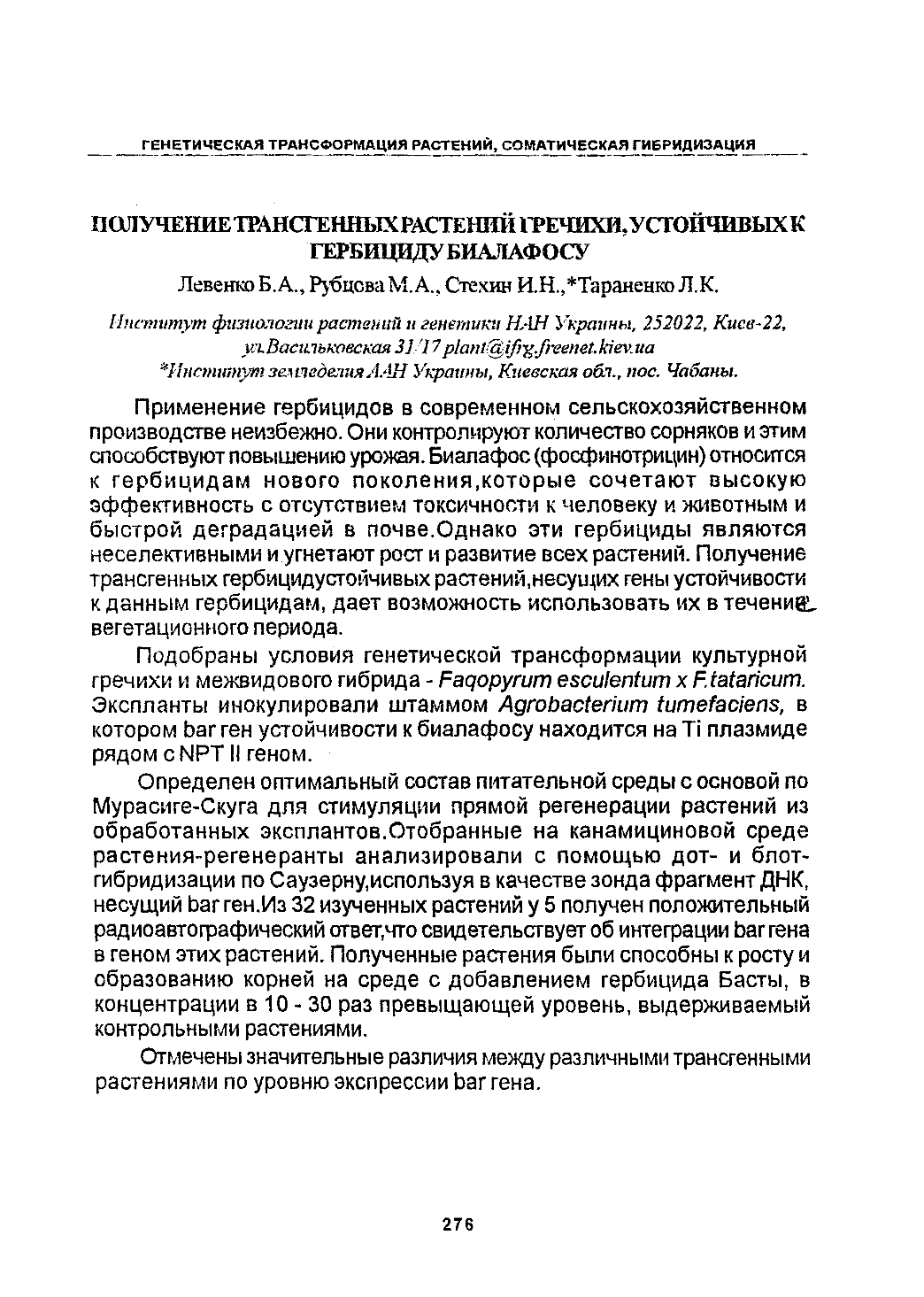 Page Background