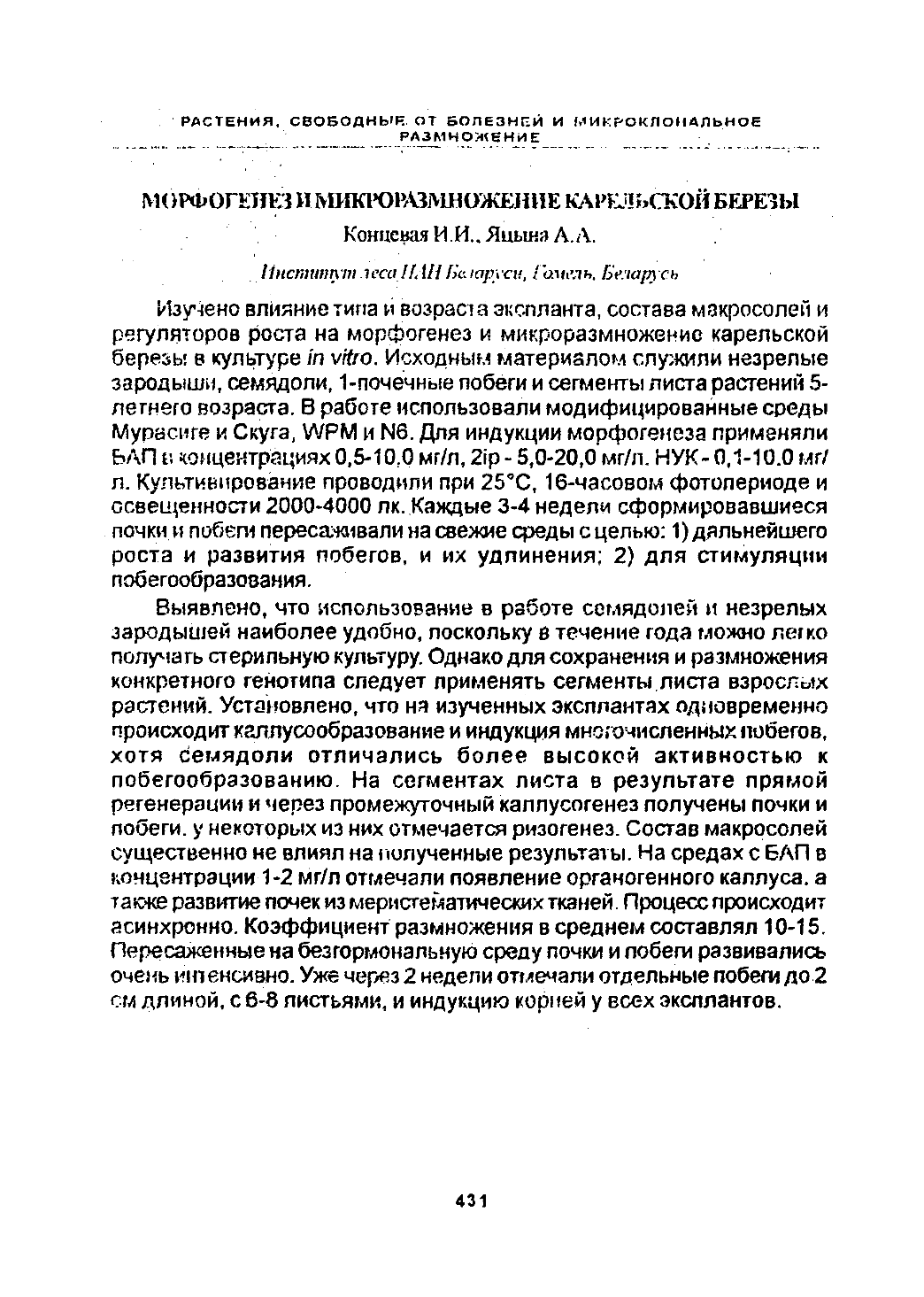 Page Background