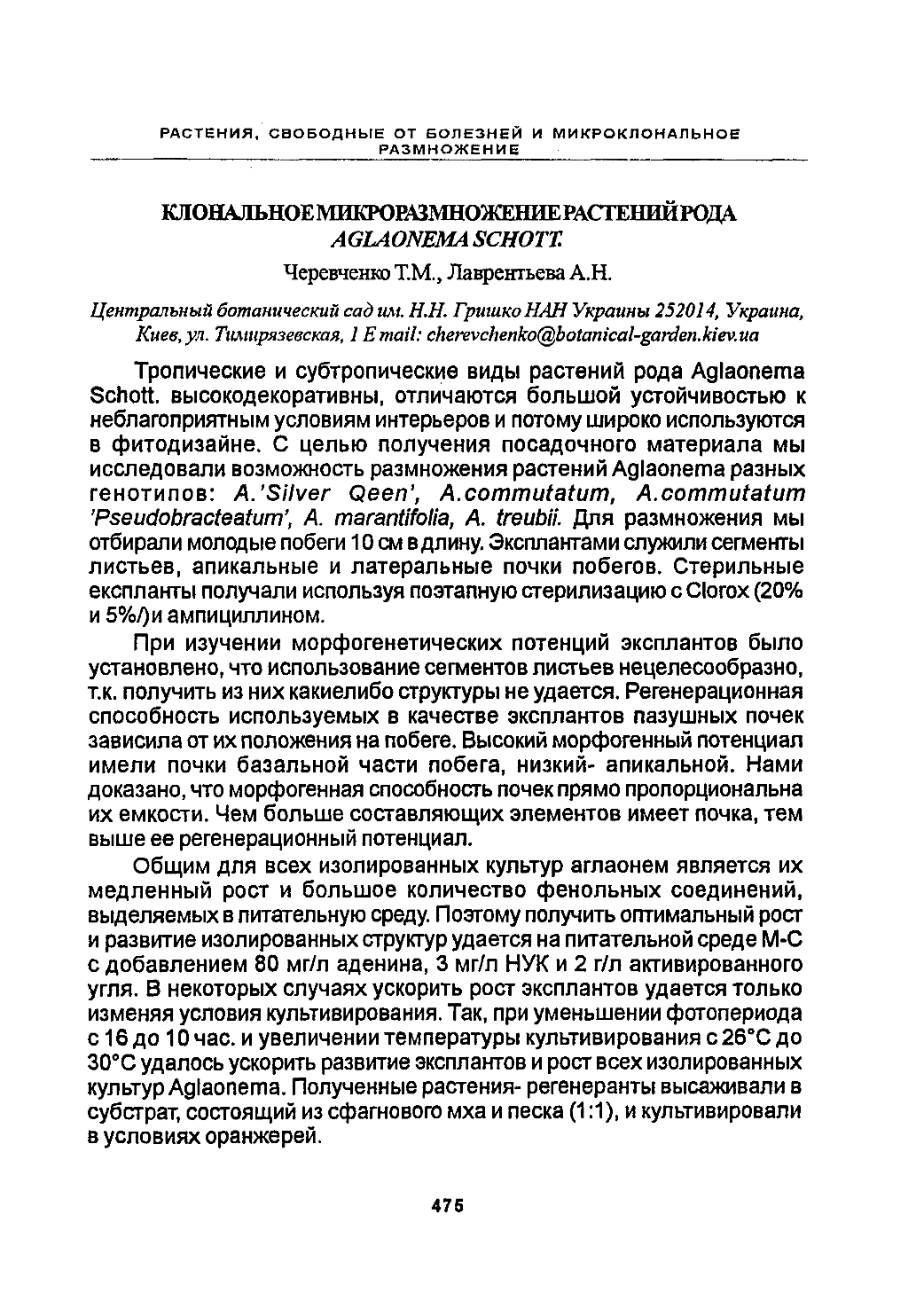 Page Background