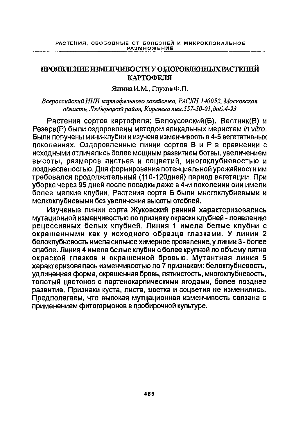 Page Background