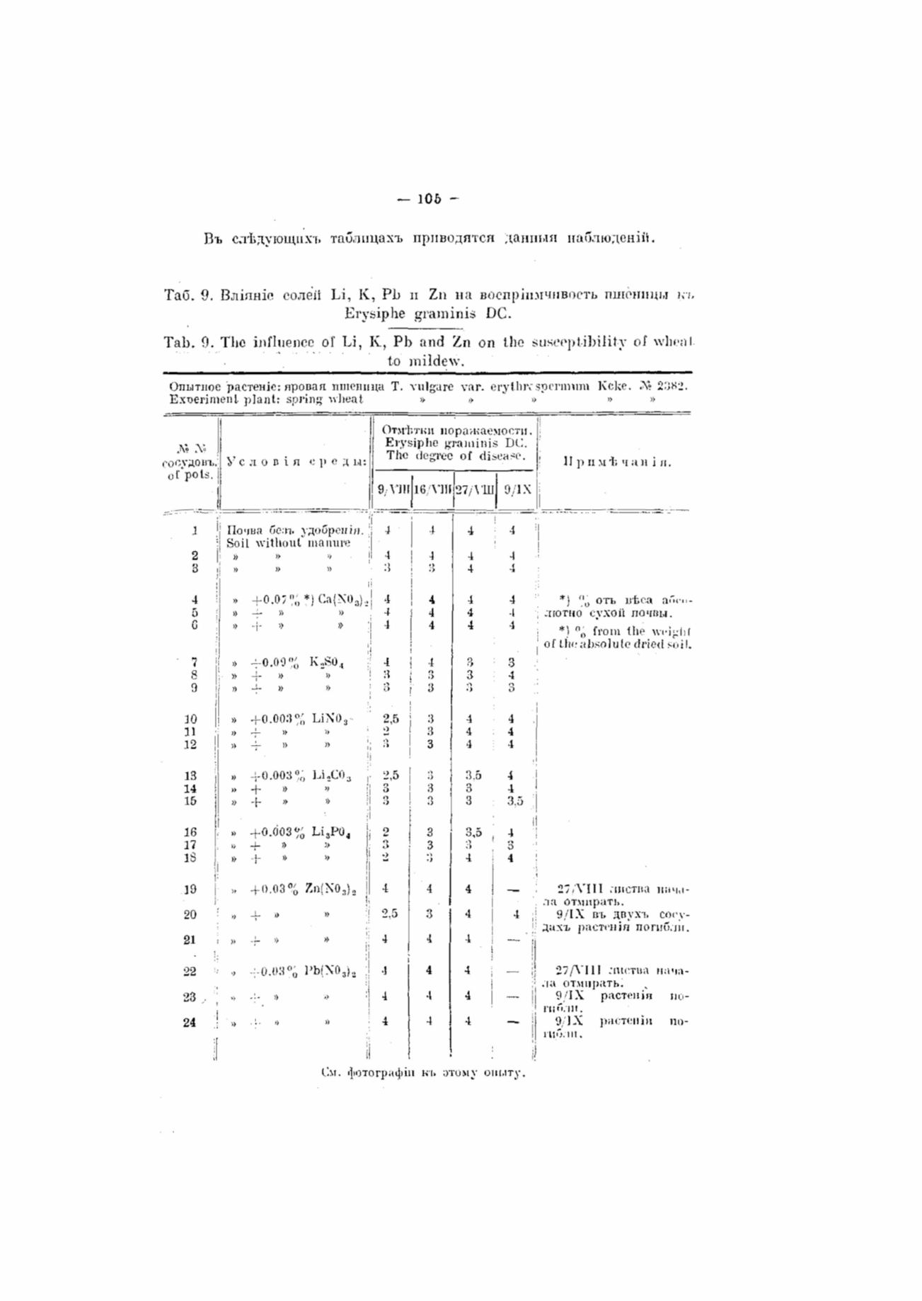 Page Background