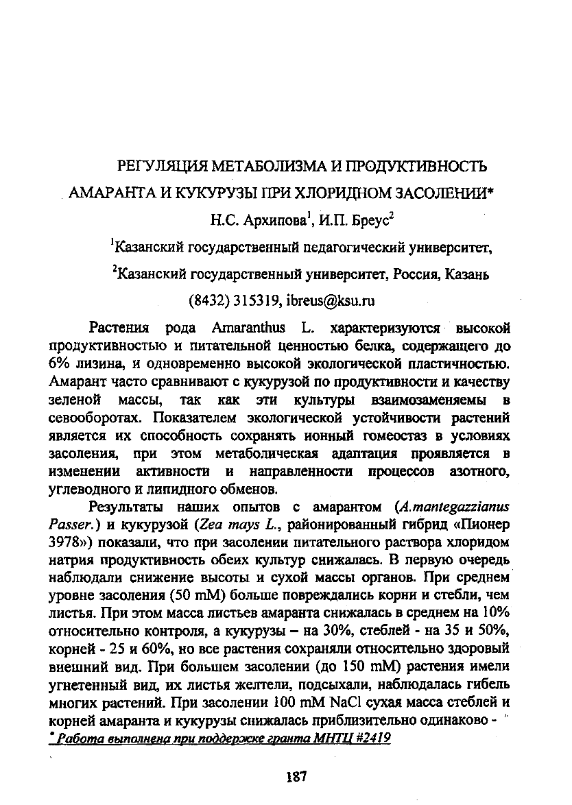 Page Background
