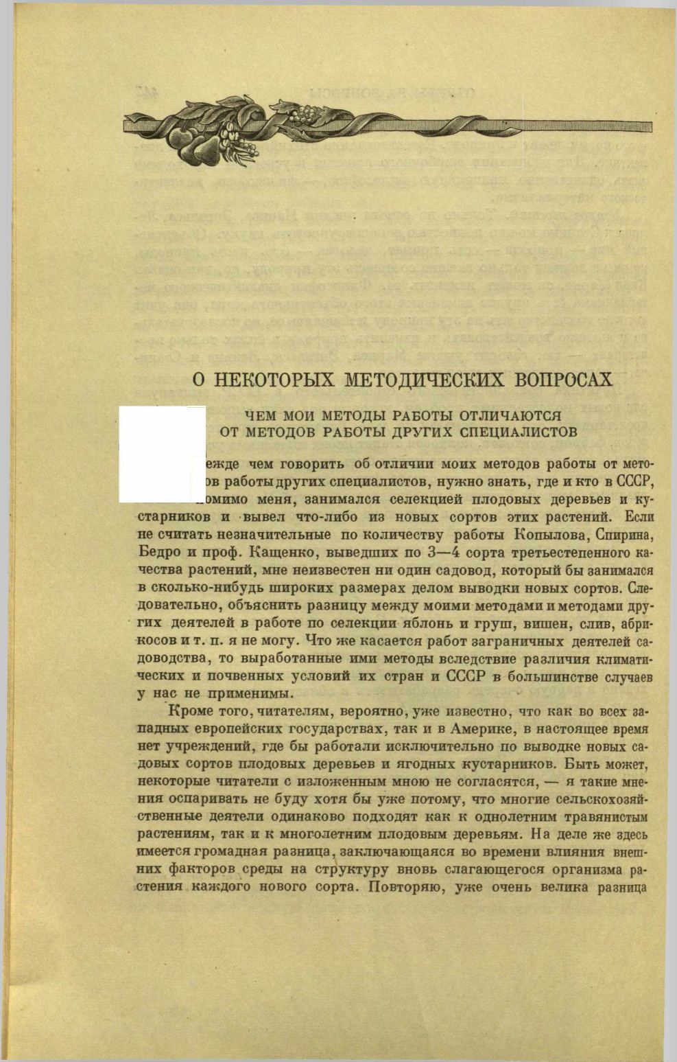 Page Background