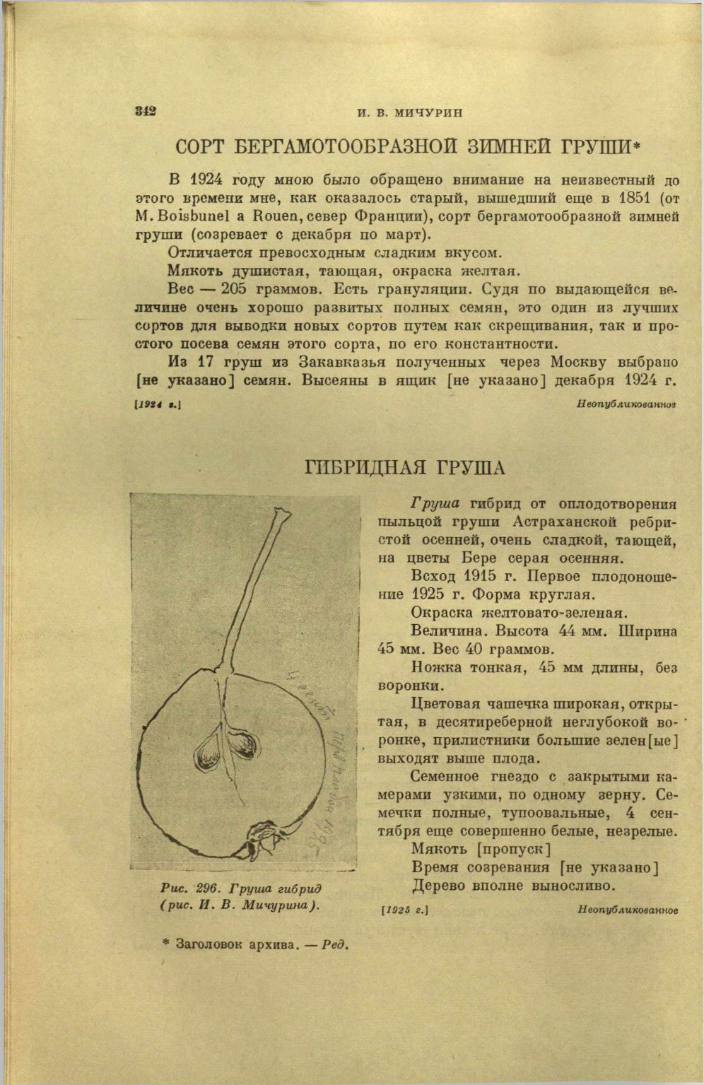 Page Background