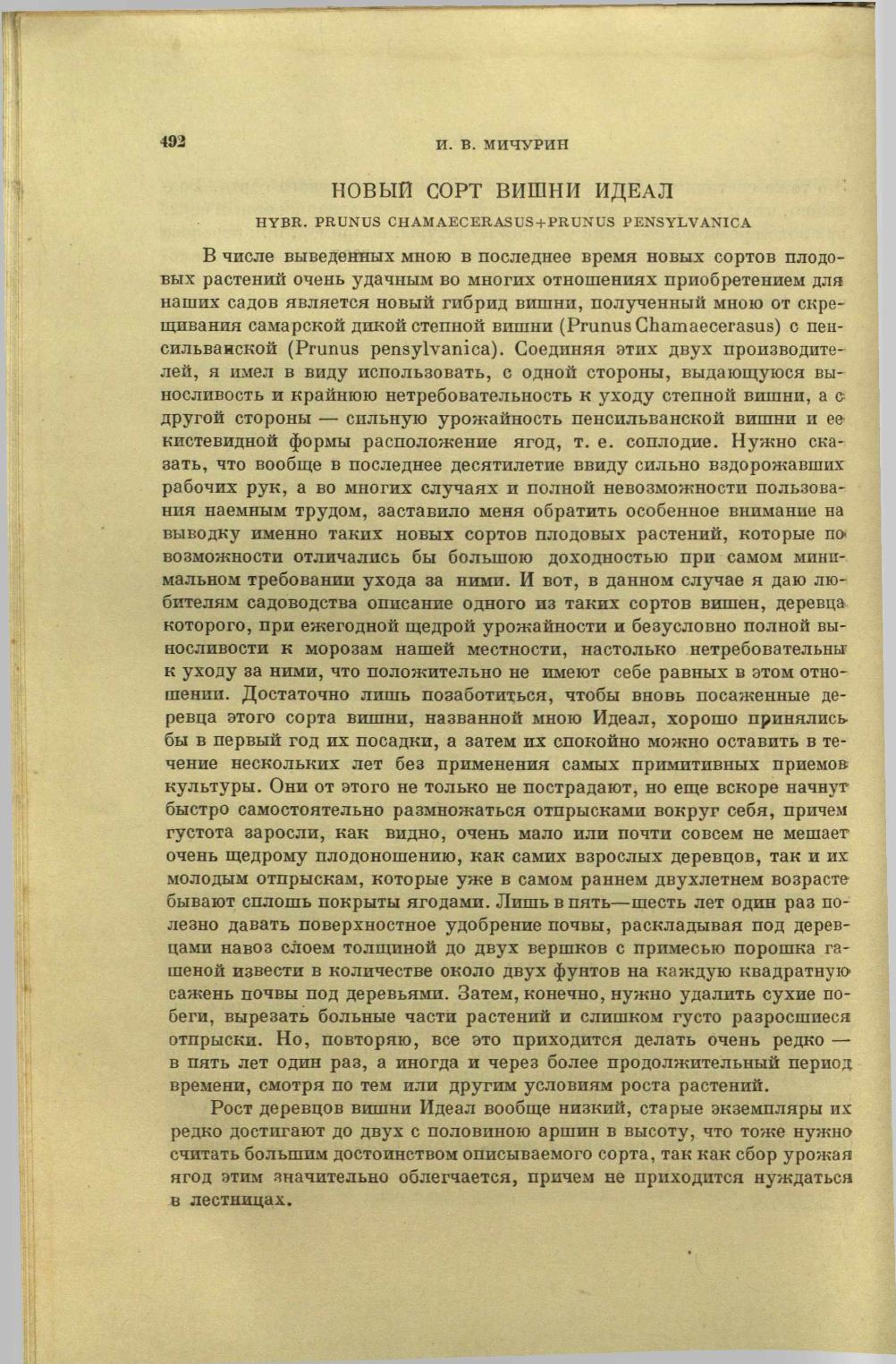Page Background