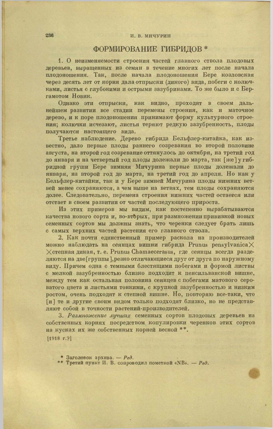 Page Background