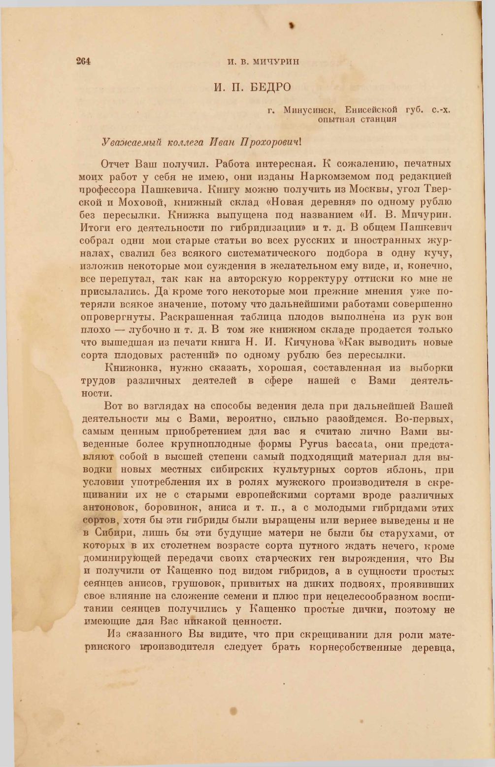 Page Background