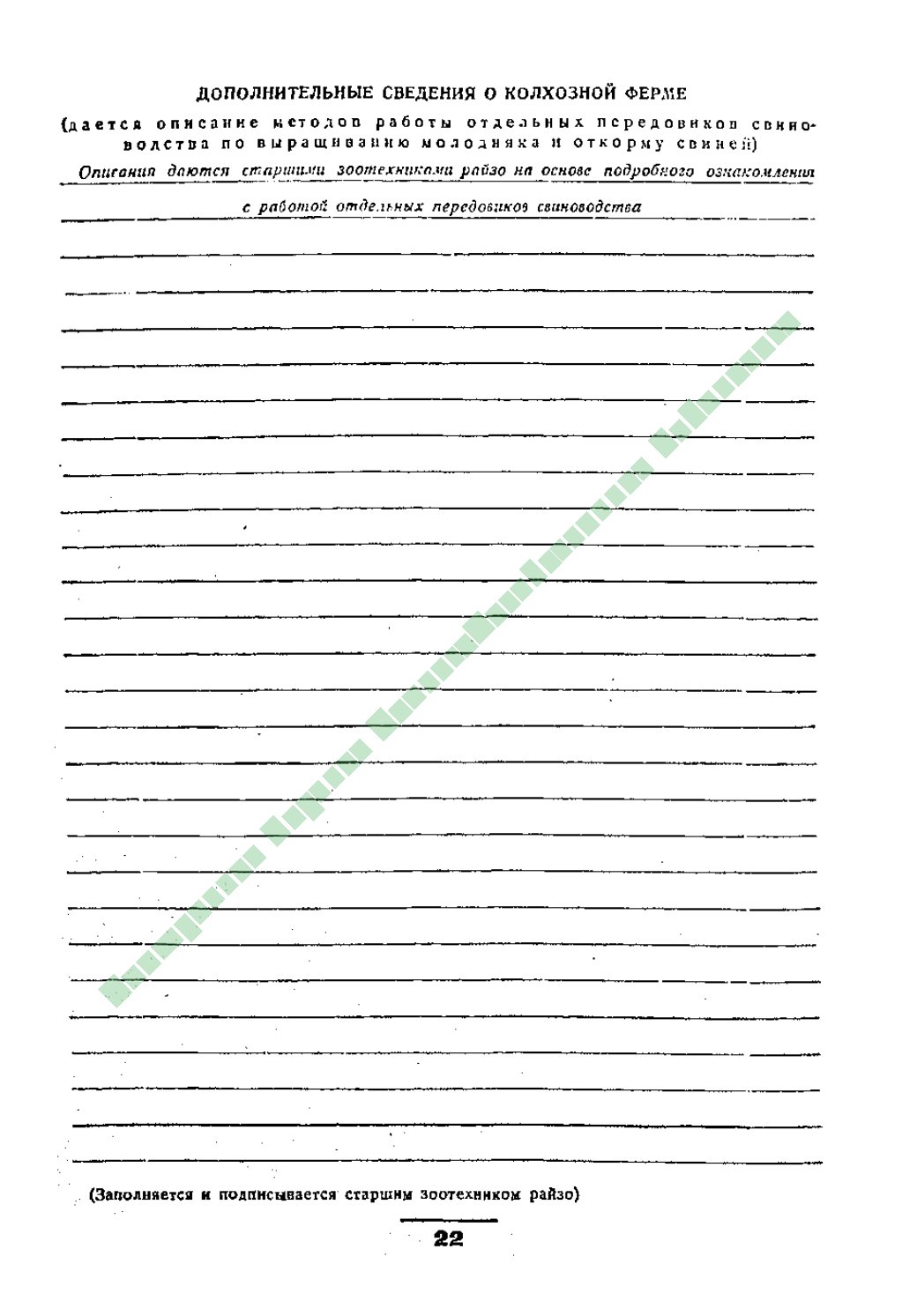 Page Background