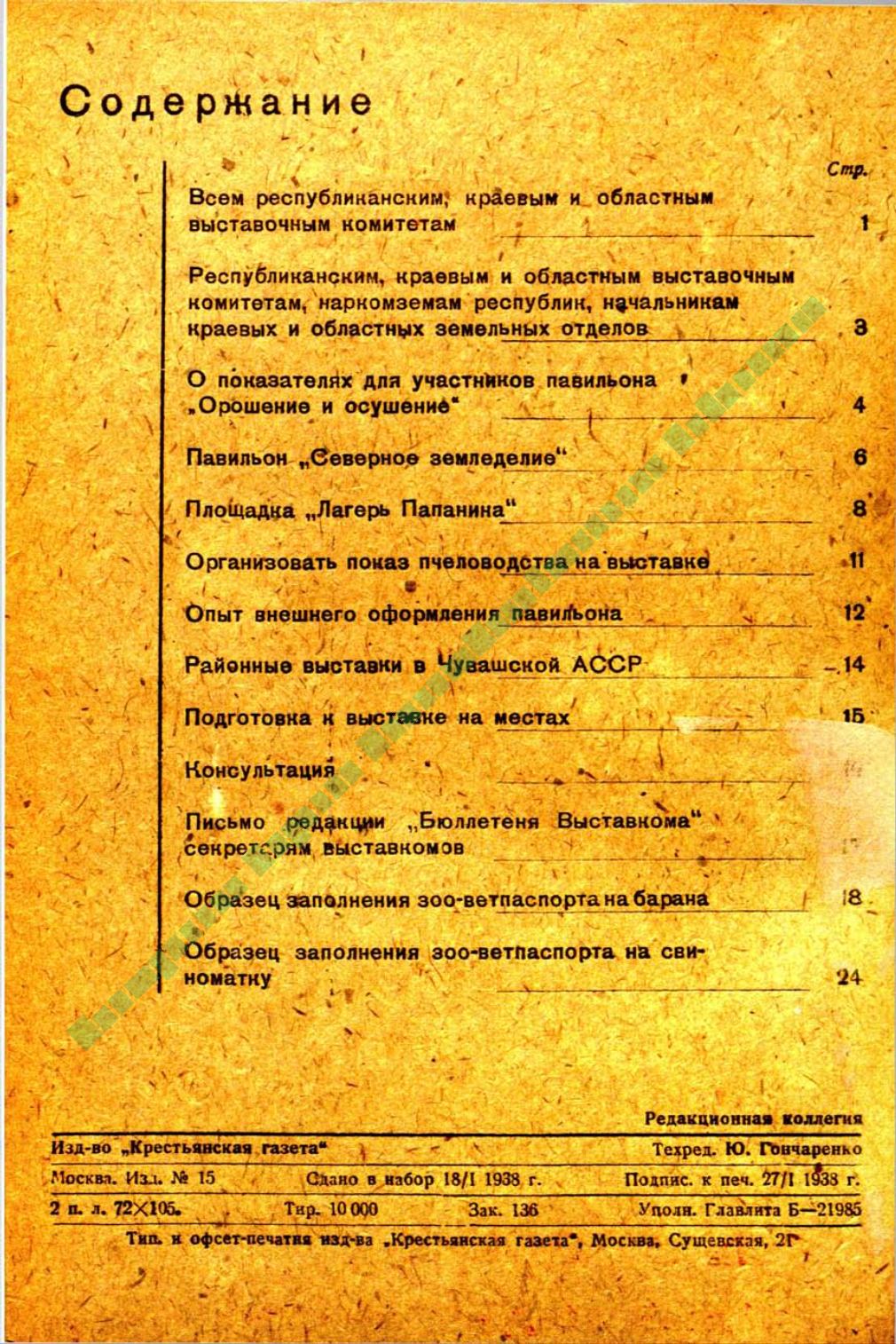 Page Background
