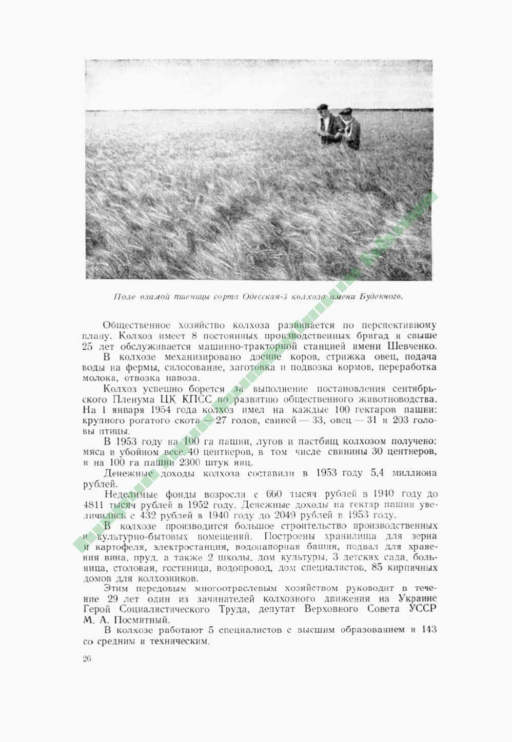 Page Background