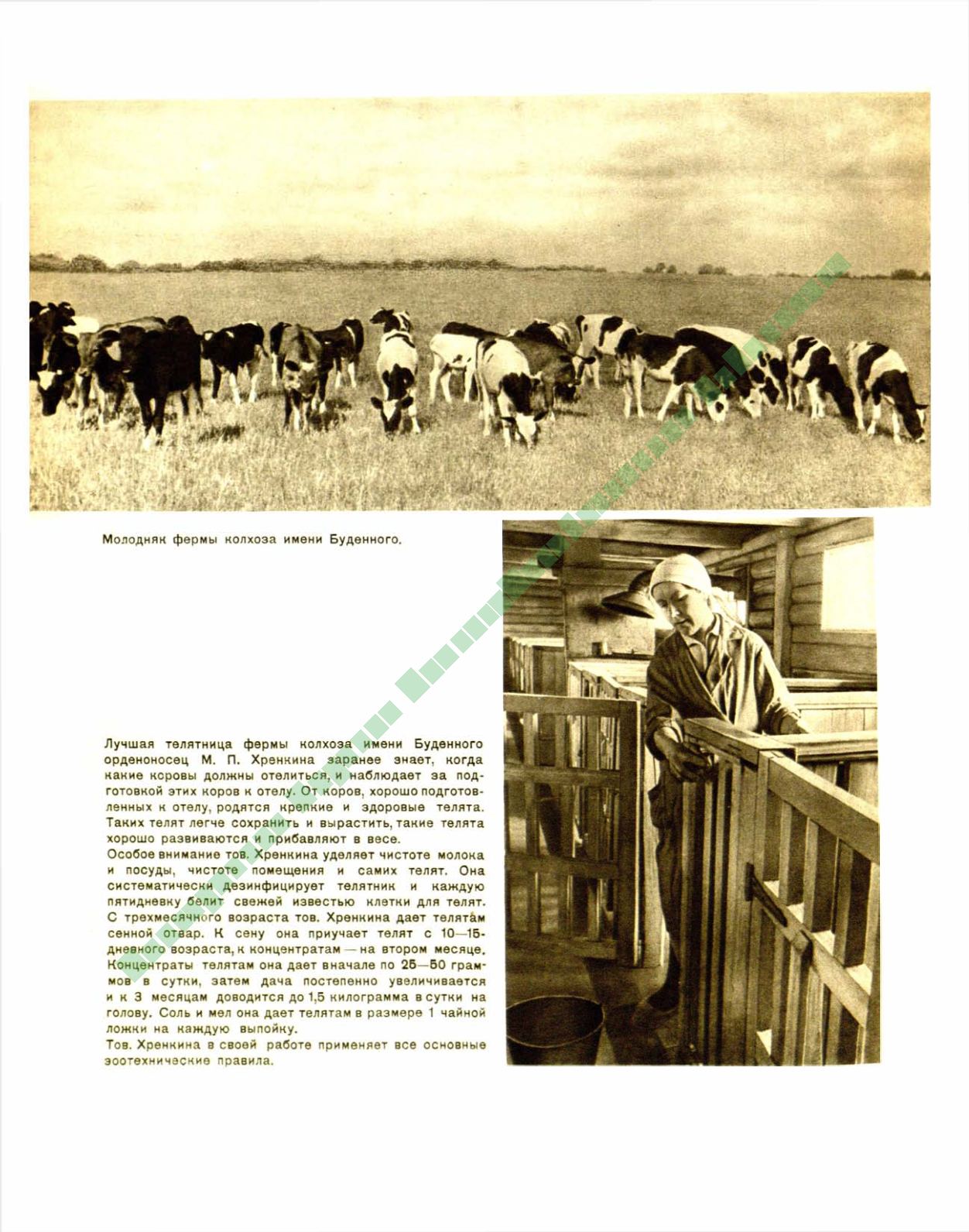 Page Background