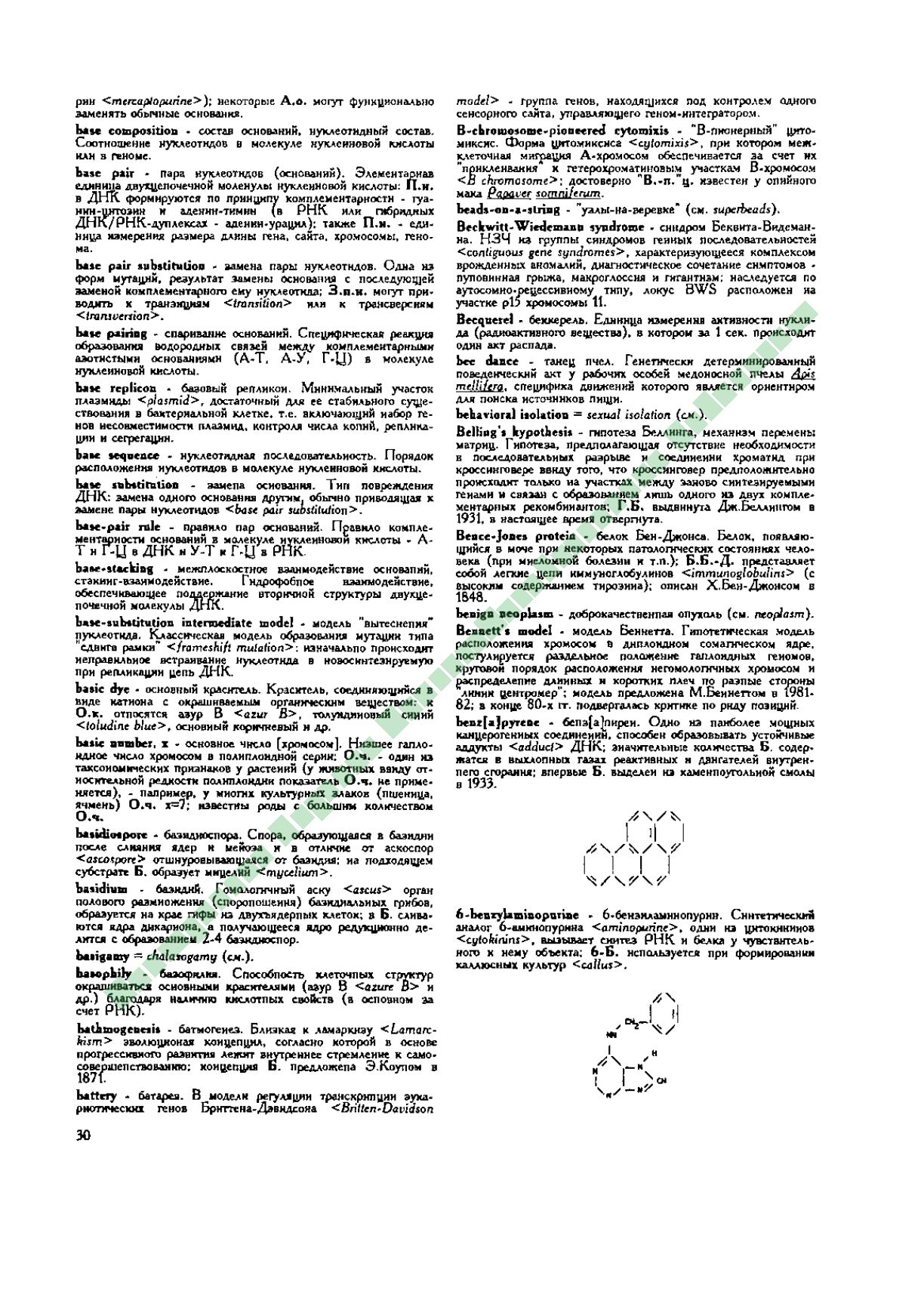 Page Background