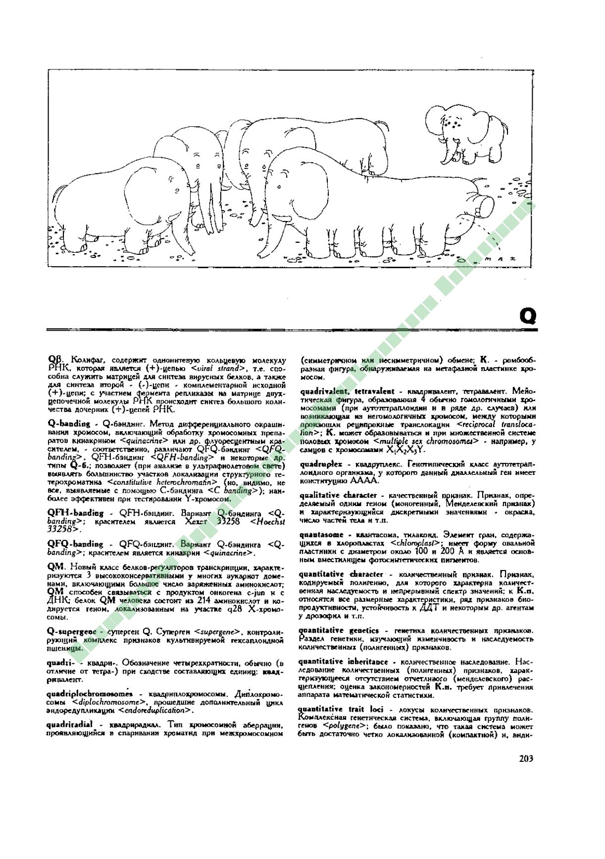 Page Background