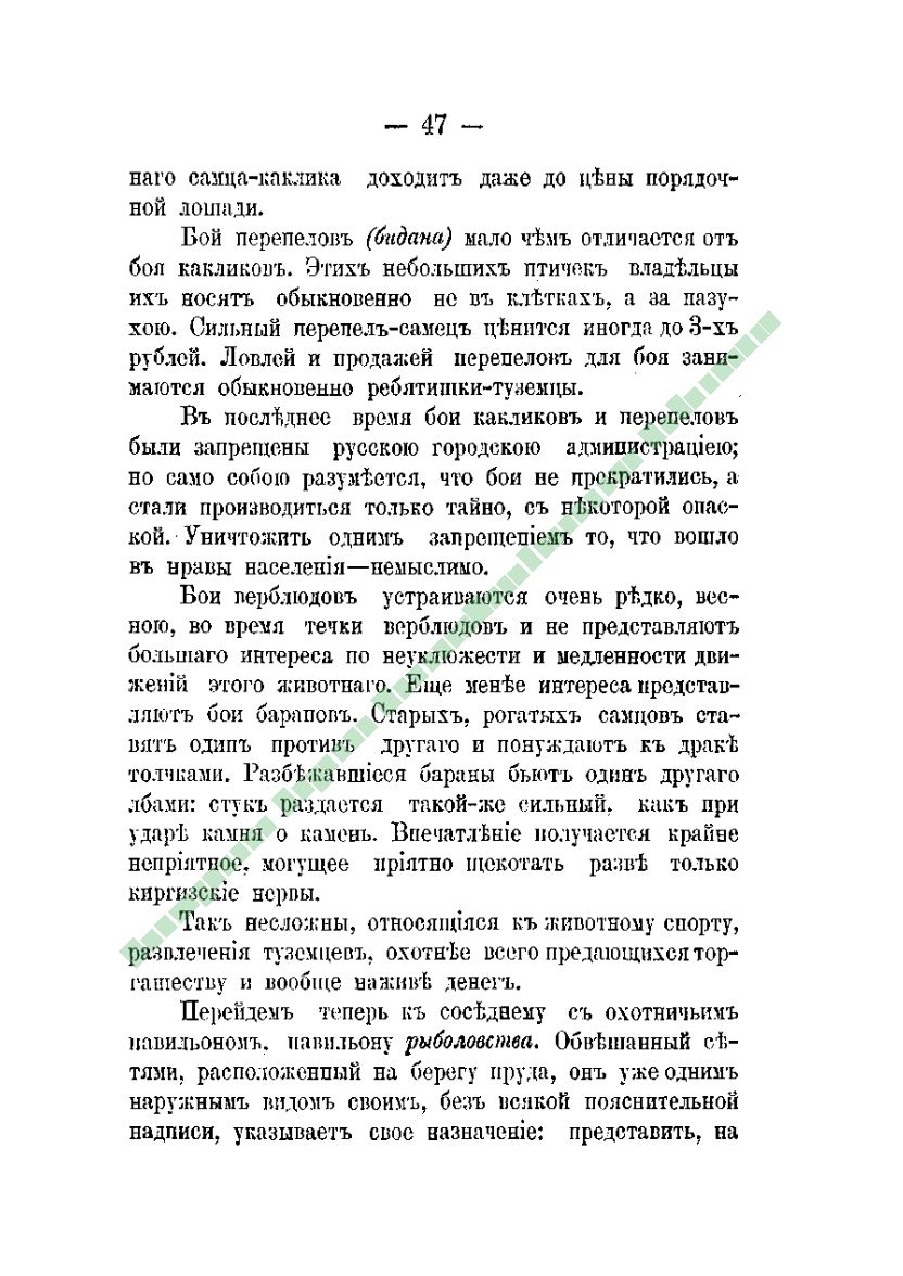 Page Background