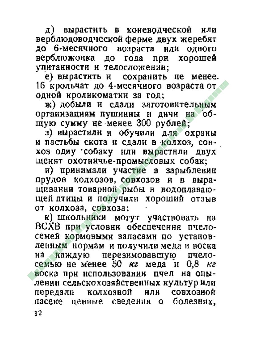 Page Background
