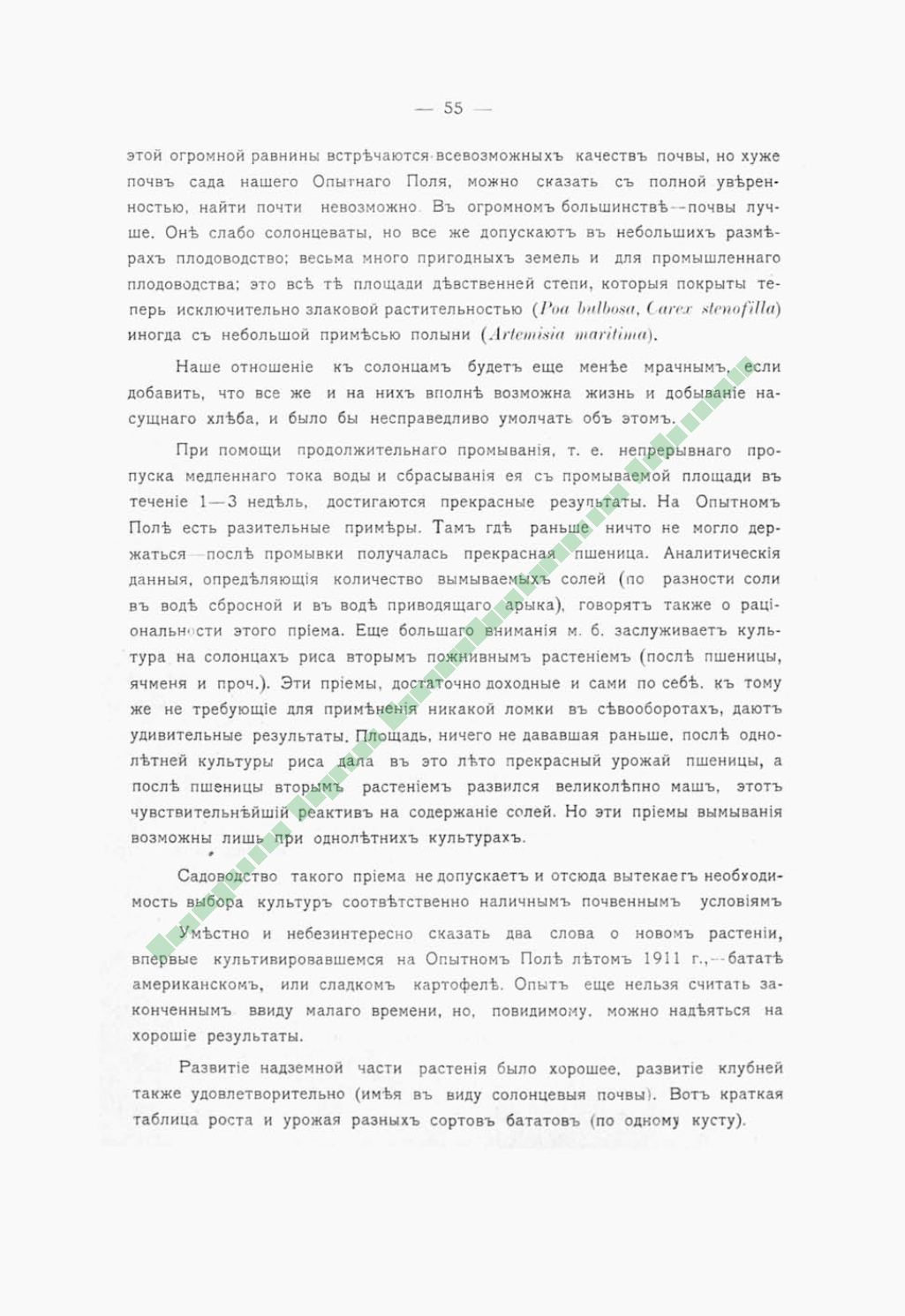 Page Background