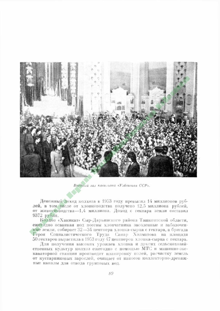 Page Background