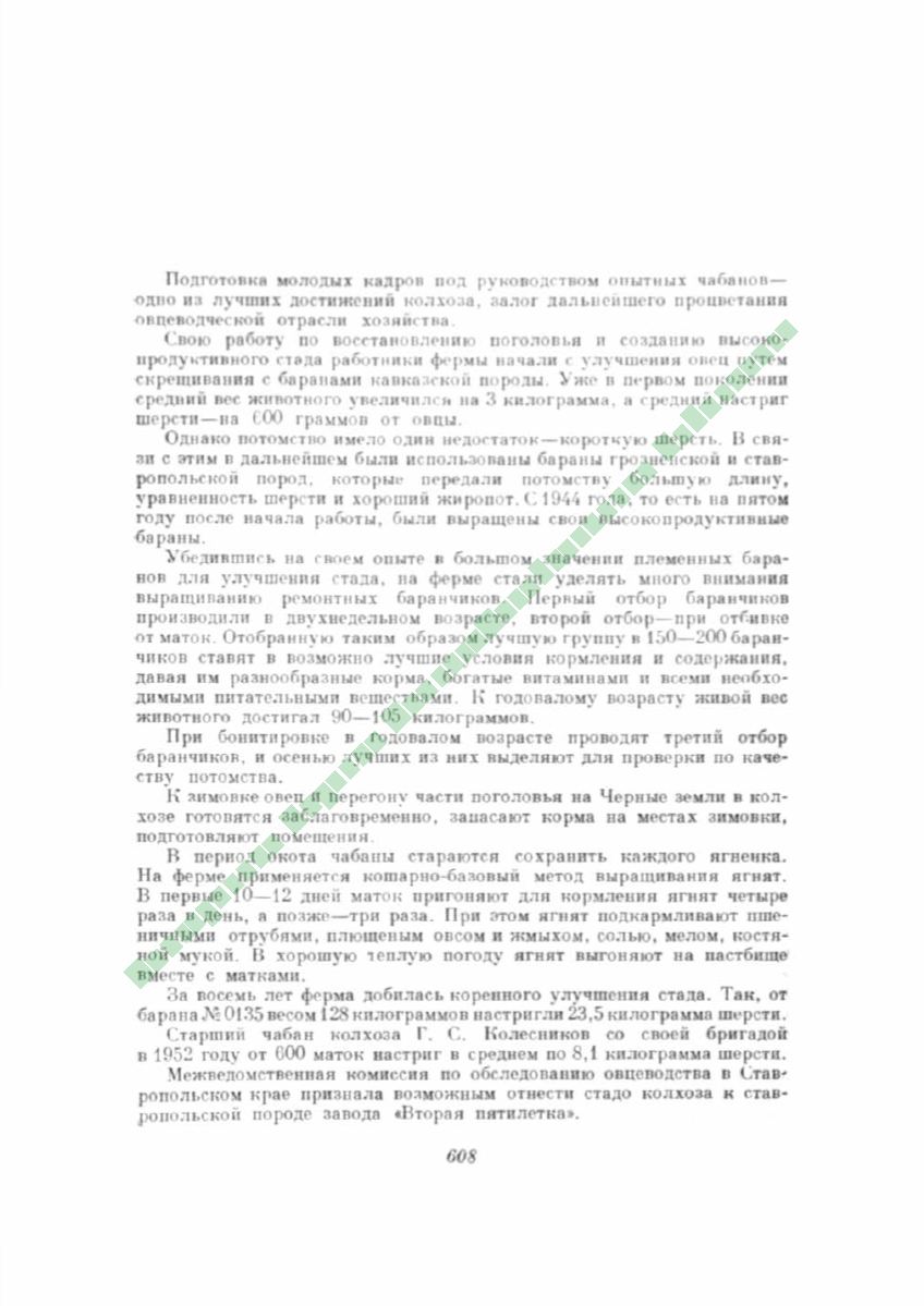 Page Background