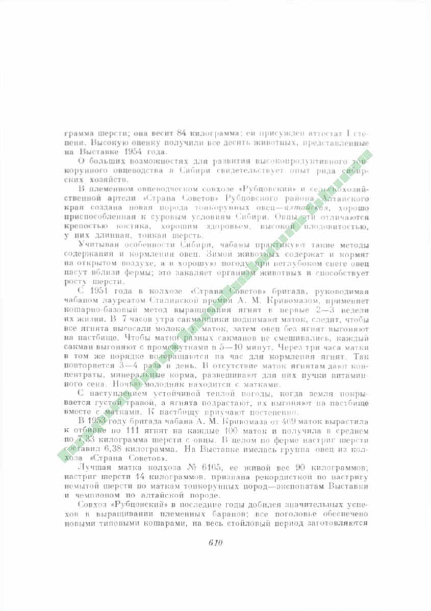 Page Background