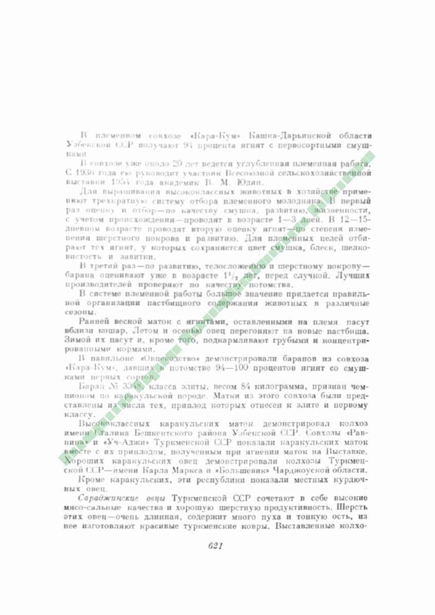 Page Background
