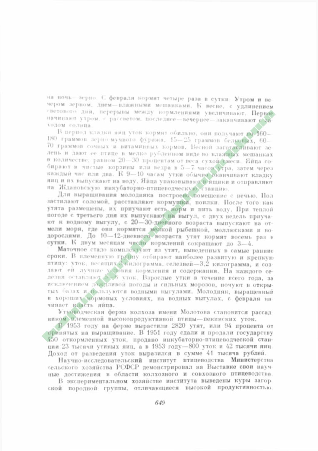 Page Background