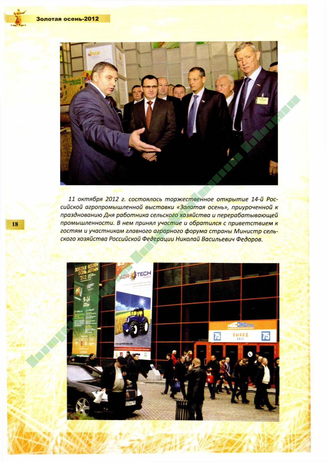 Page Background