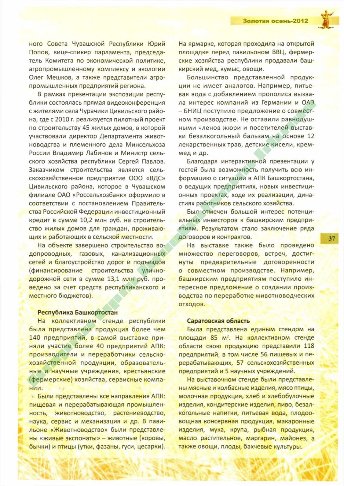 Page Background