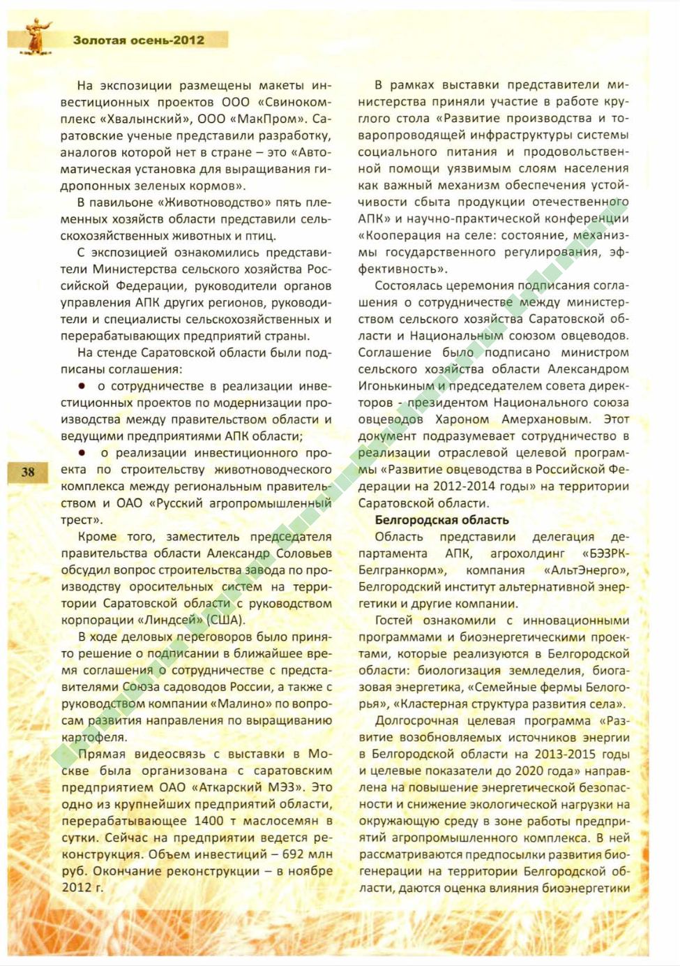 Page Background