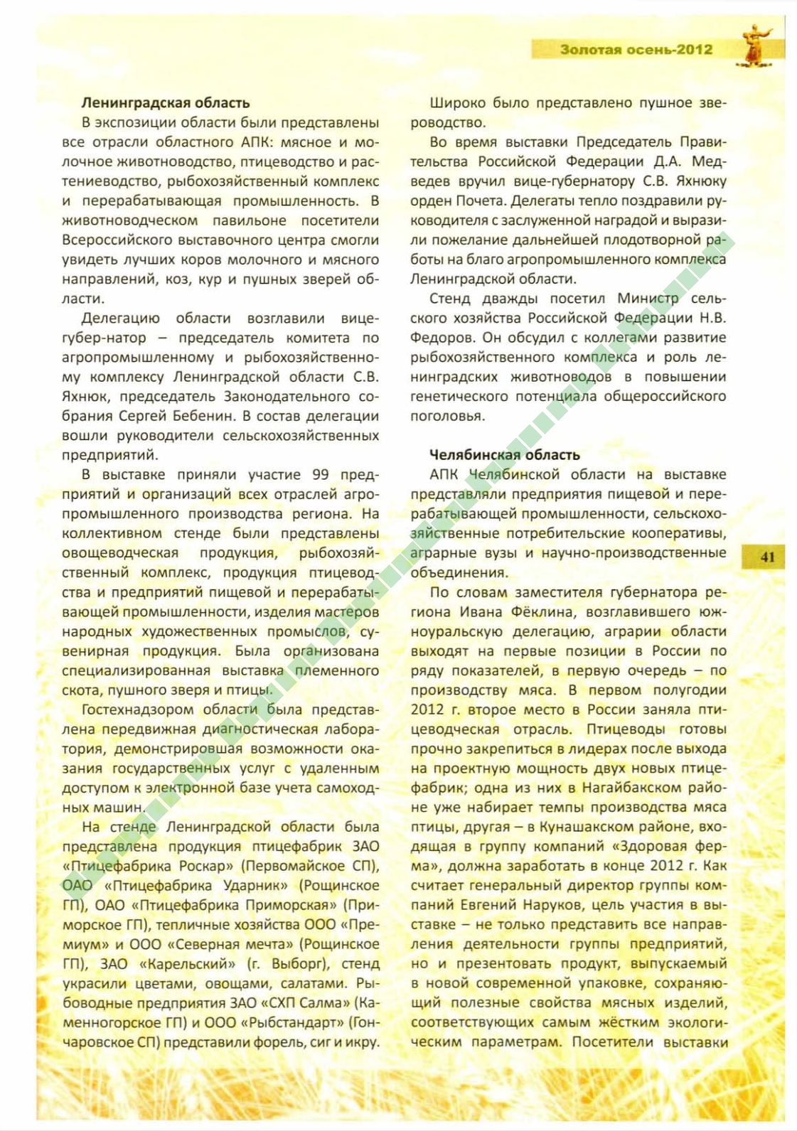 Page Background