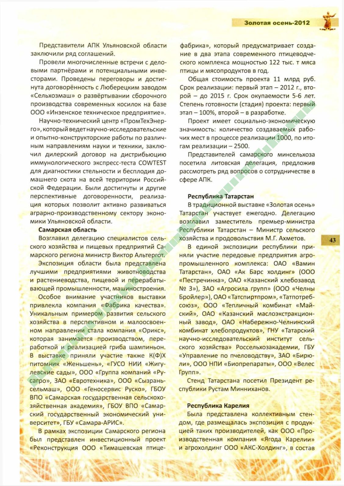 Page Background