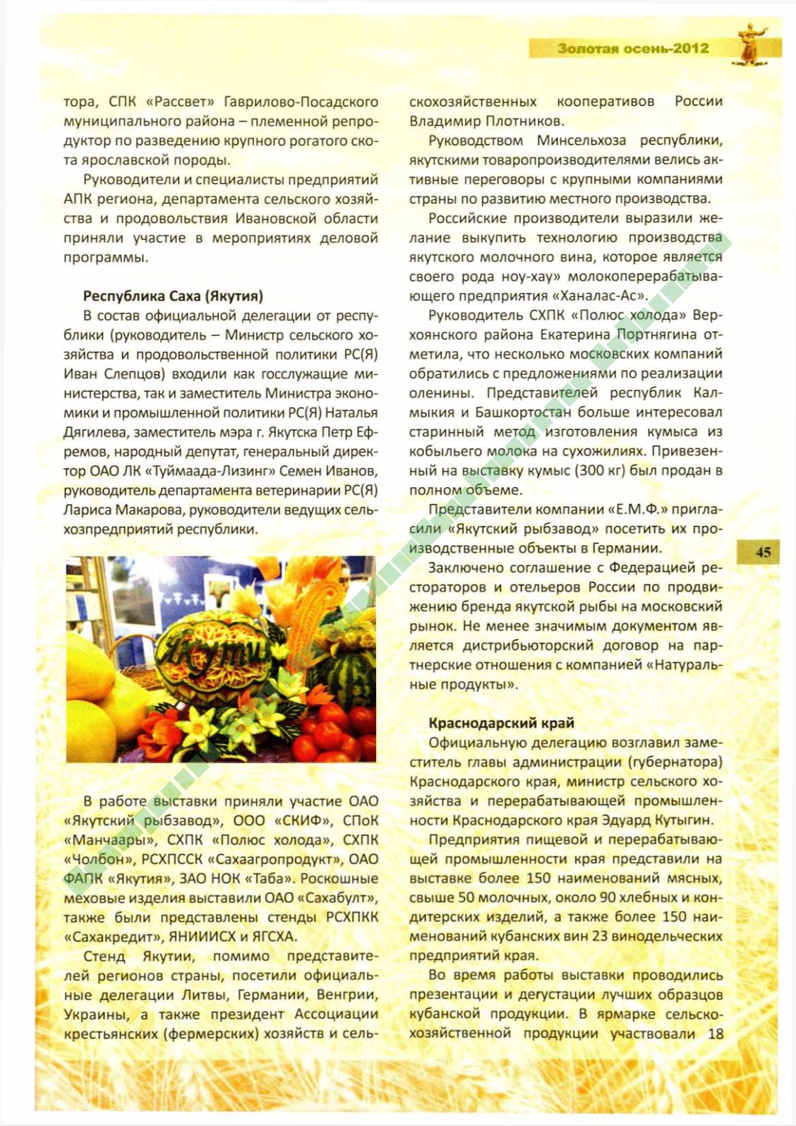 Page Background