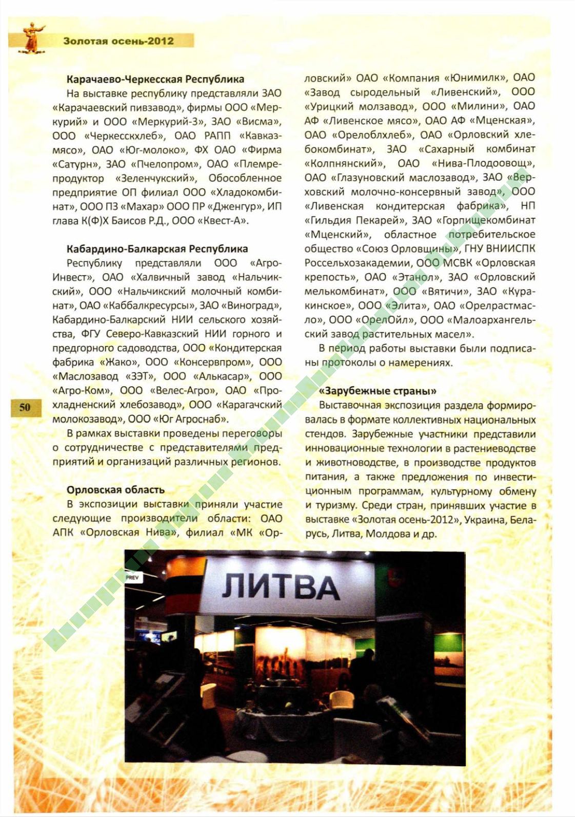 Page Background