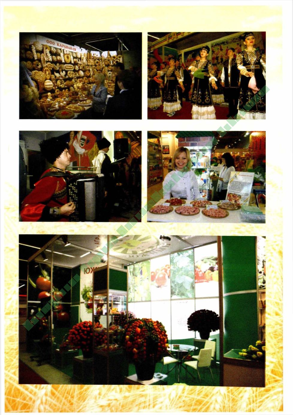 Page Background