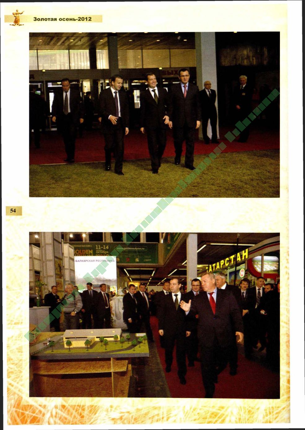 Page Background