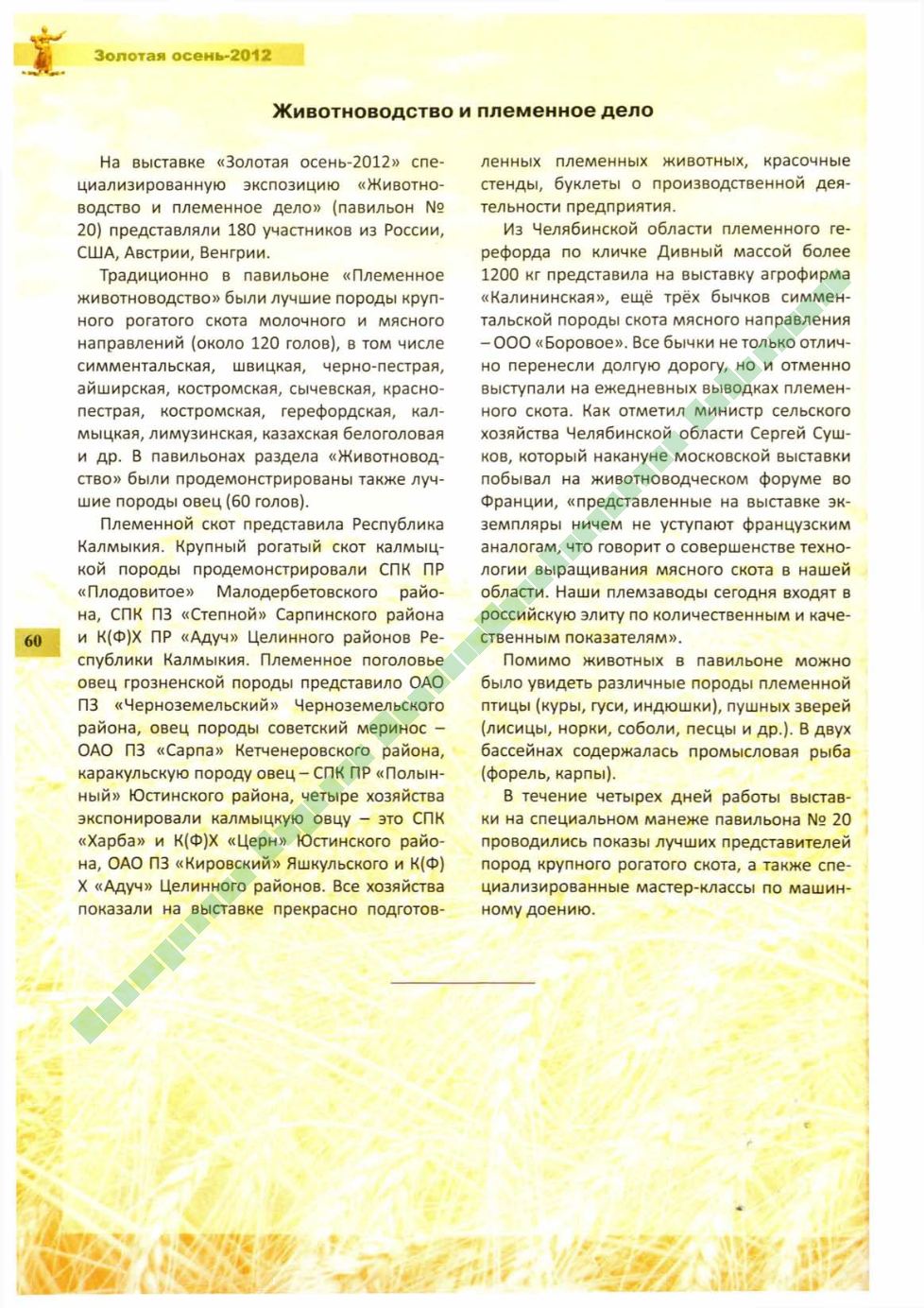 Page Background