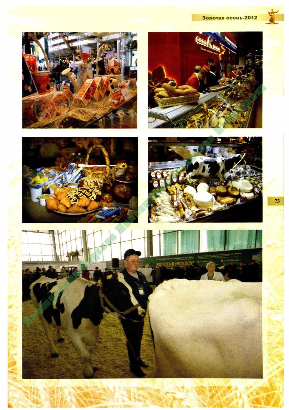 Page Background