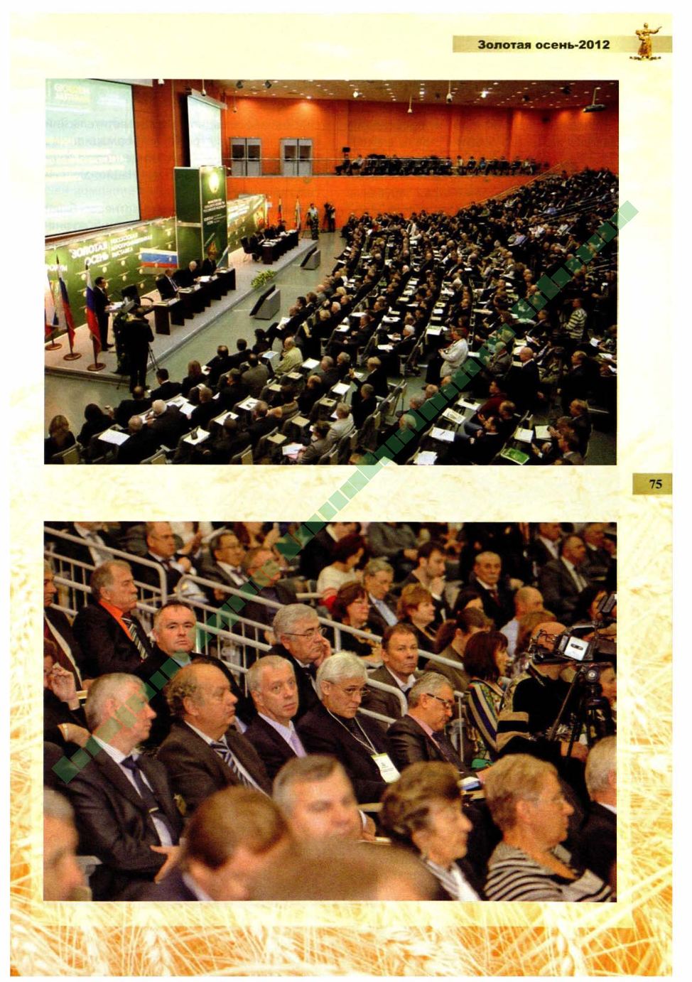Page Background