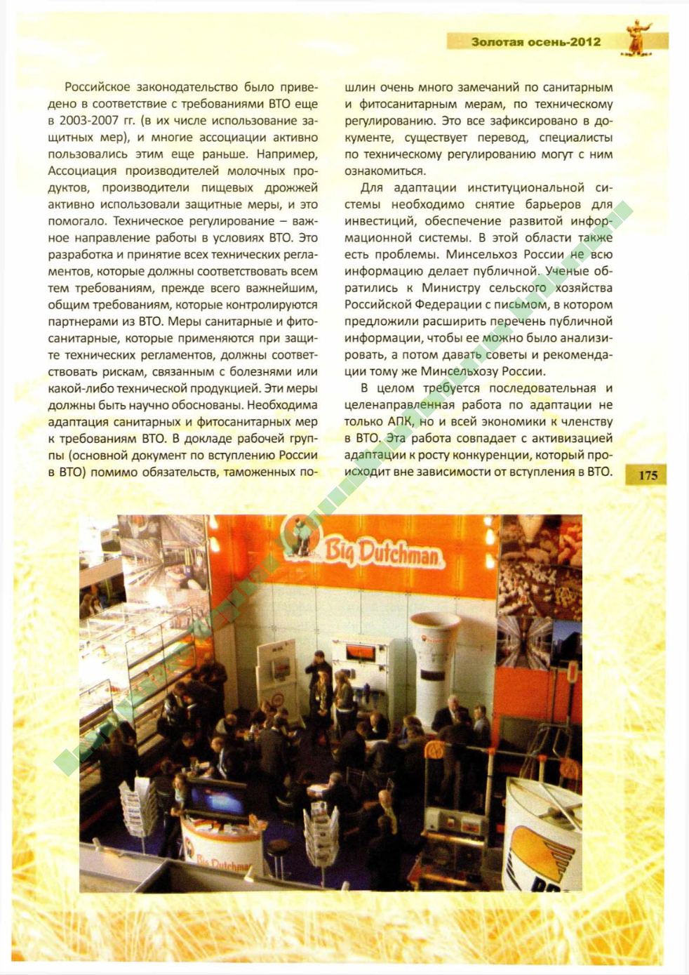 Page Background