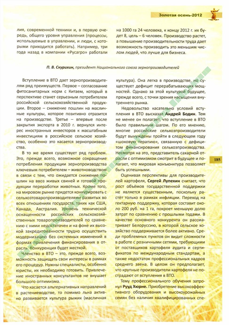 Page Background