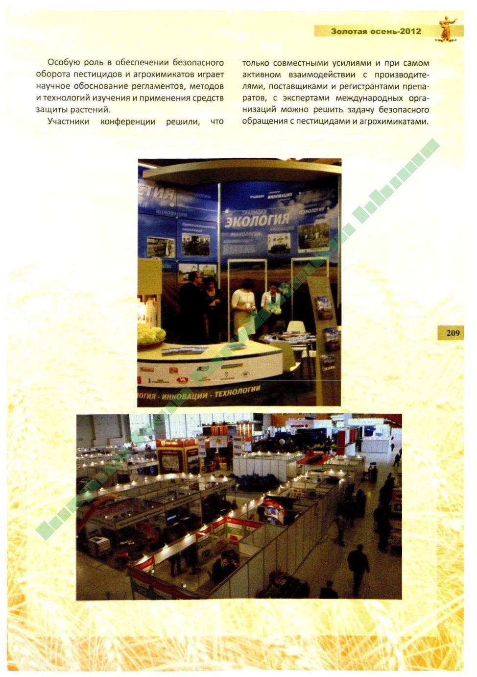 Page Background