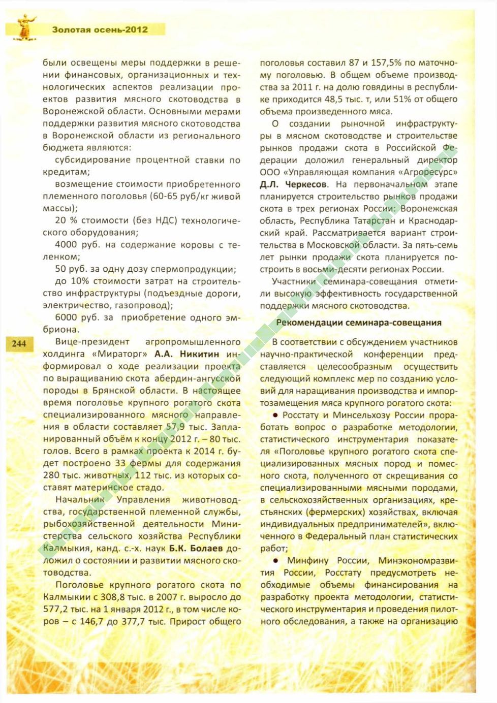 Page Background