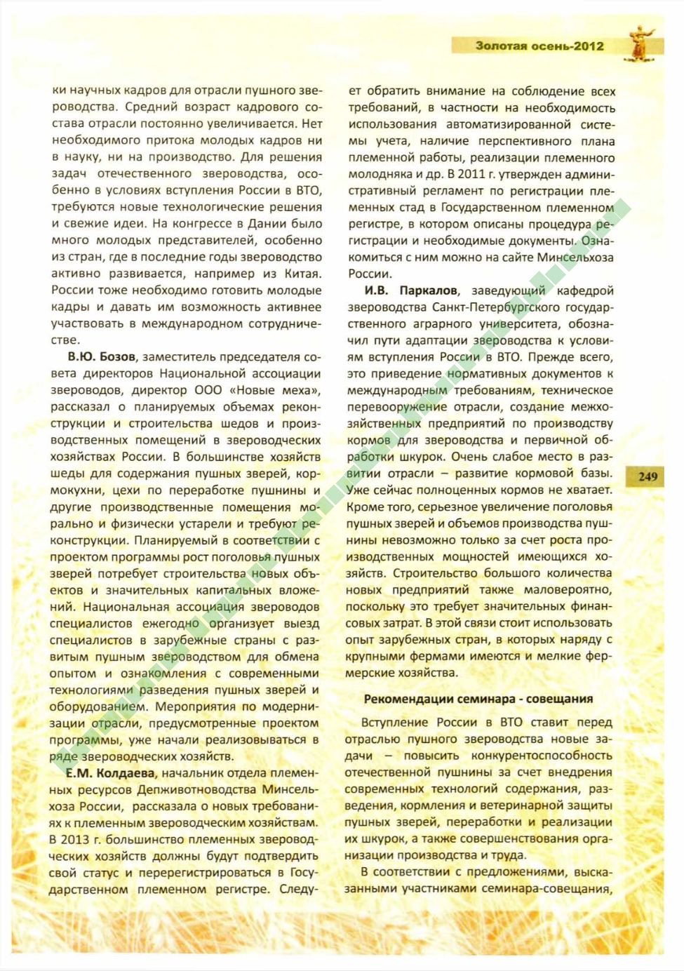 Page Background