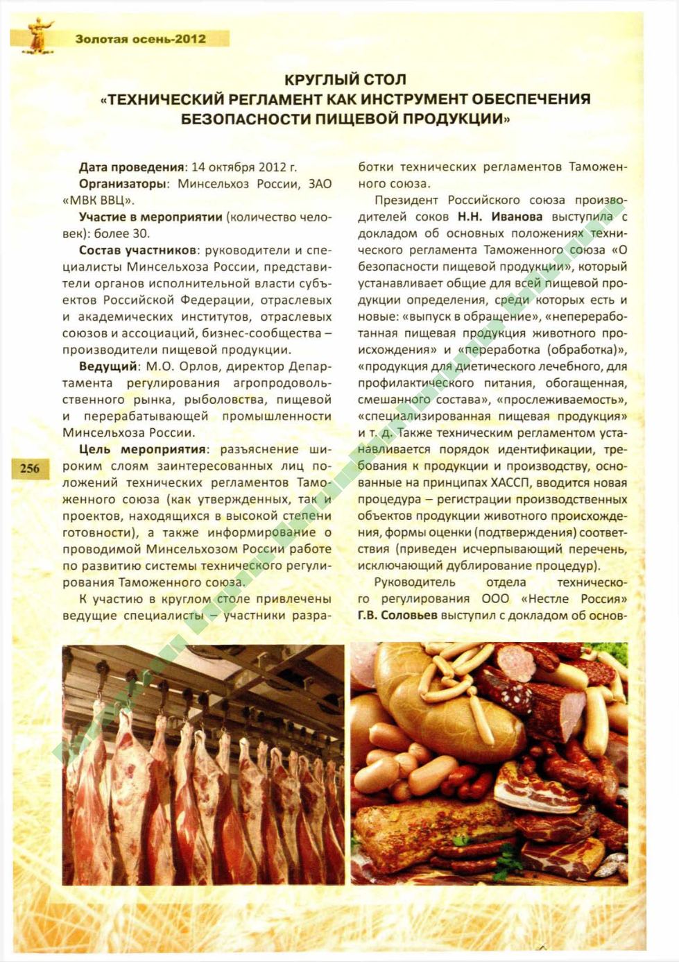 Page Background