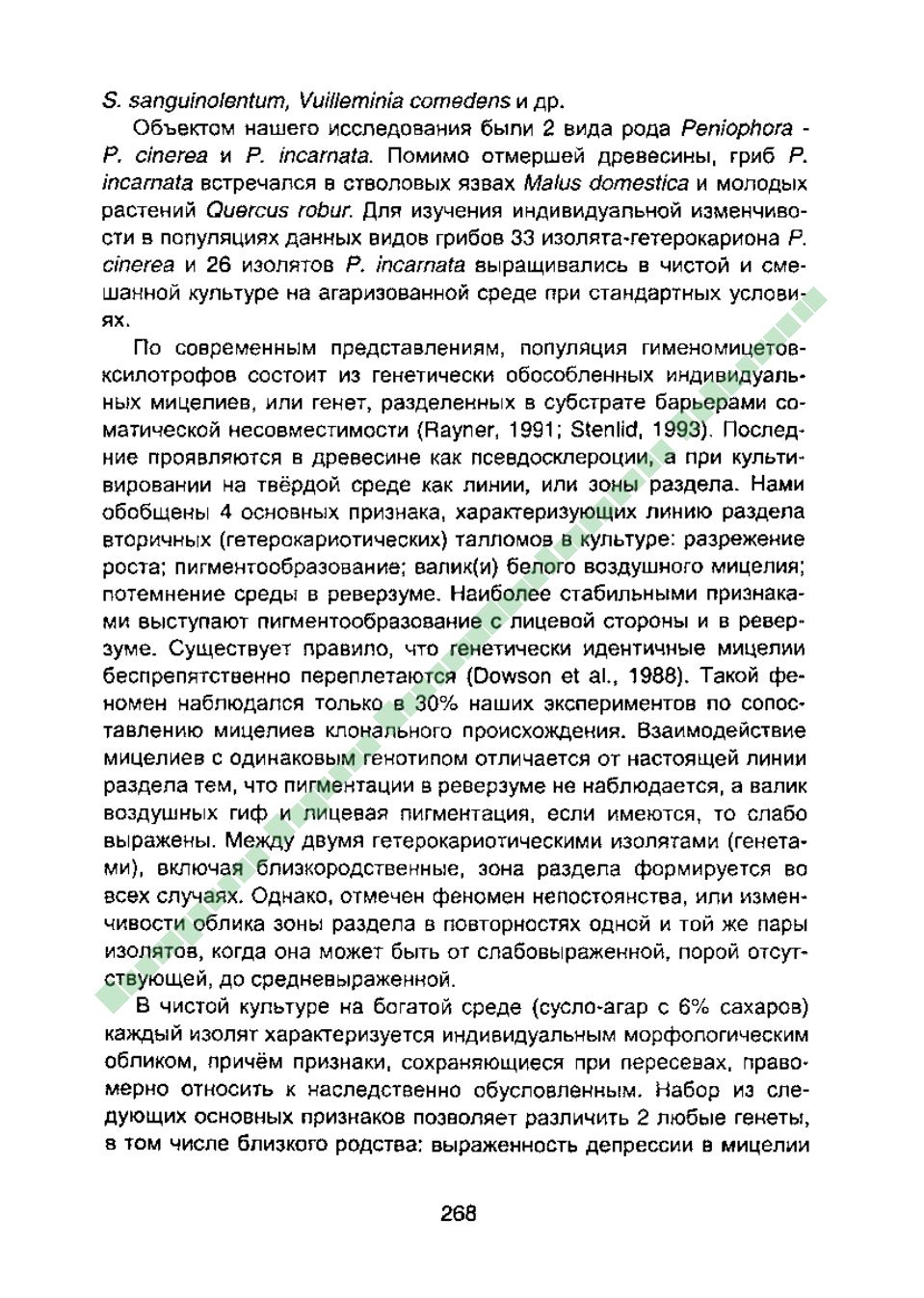 Page Background