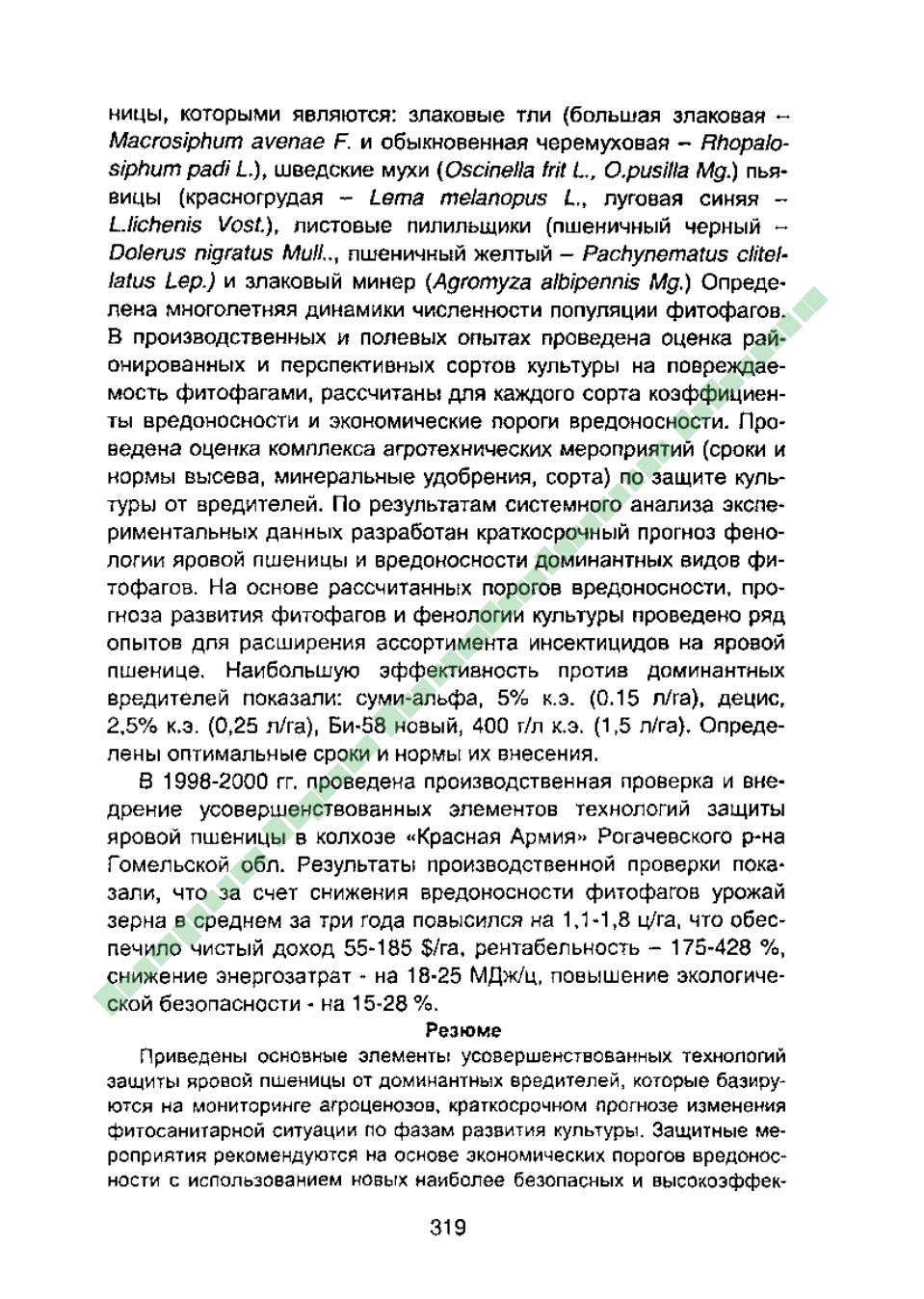 Page Background