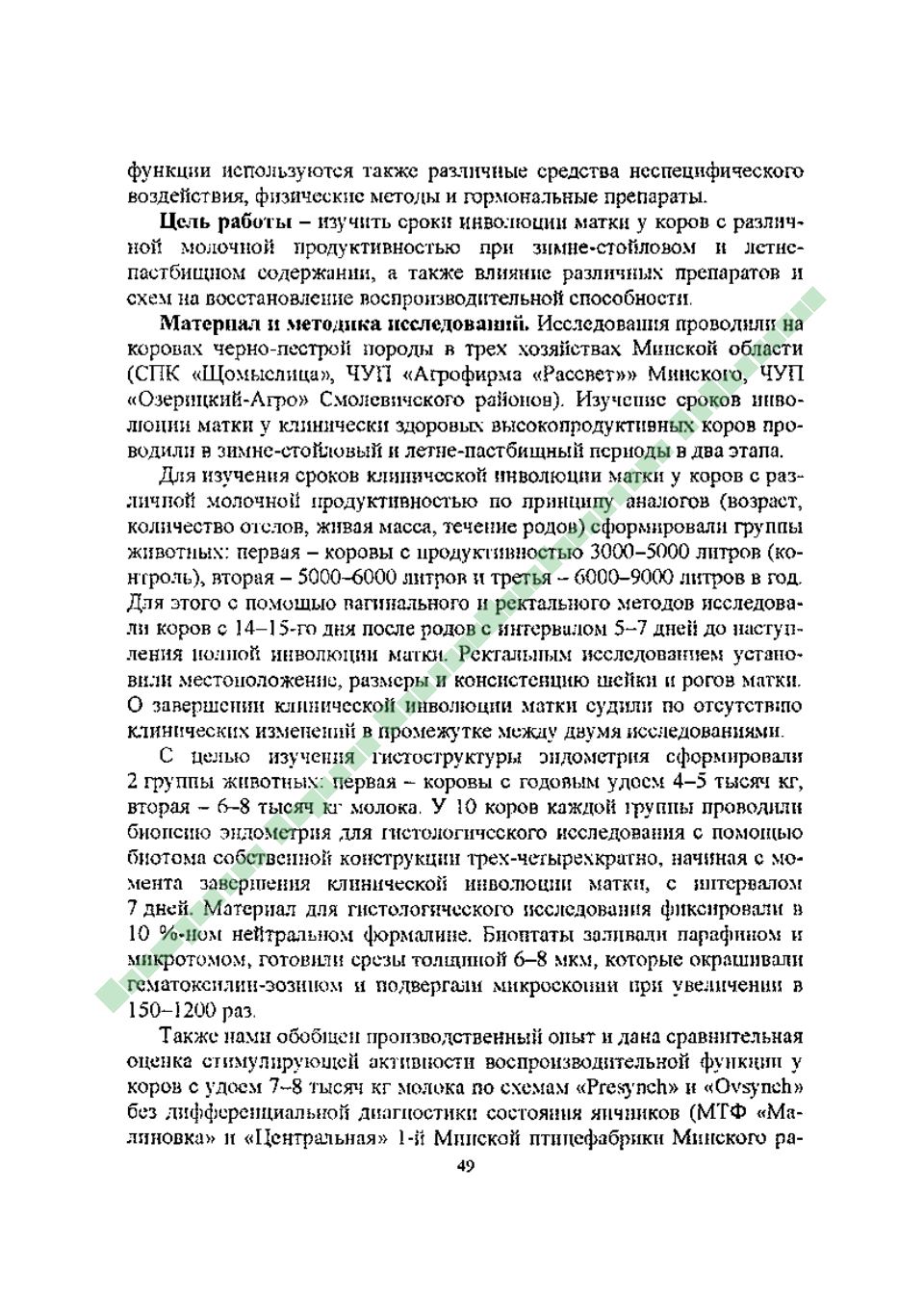 Page Background