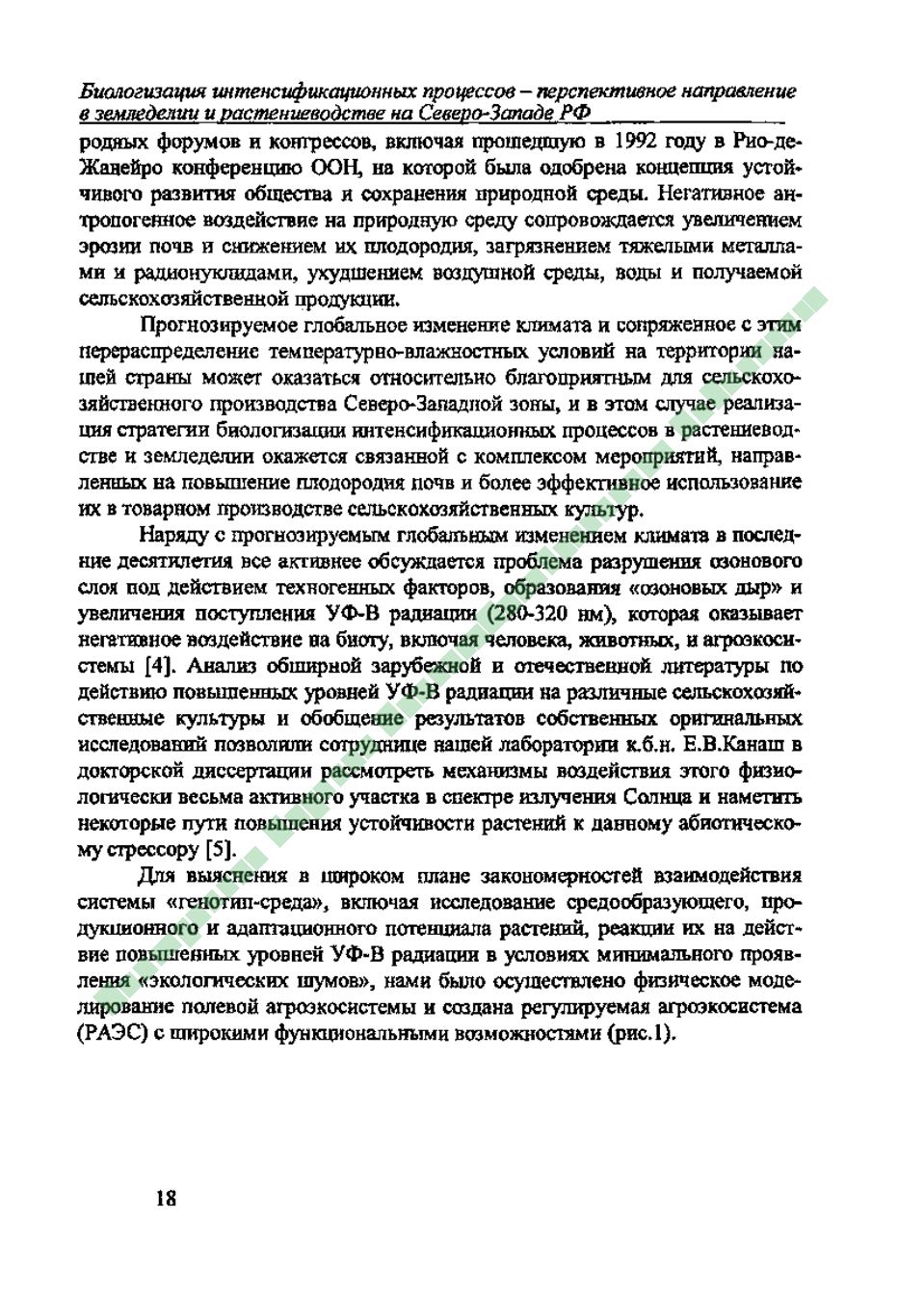 Page Background